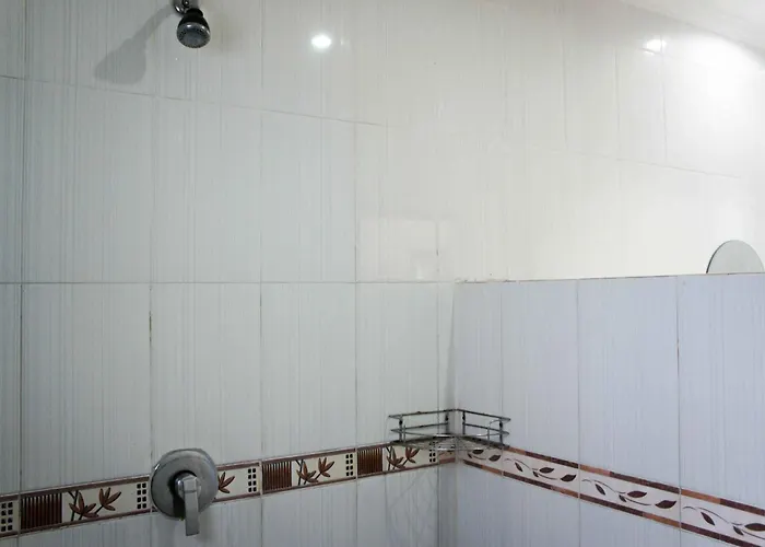 Guest house Adi 3*